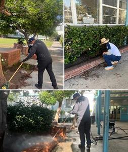Beautification Day