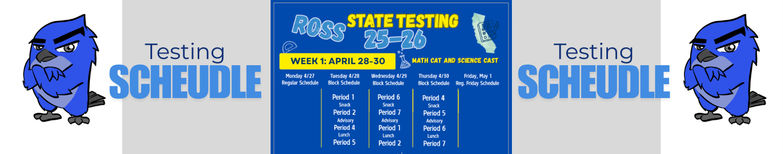 State Testing