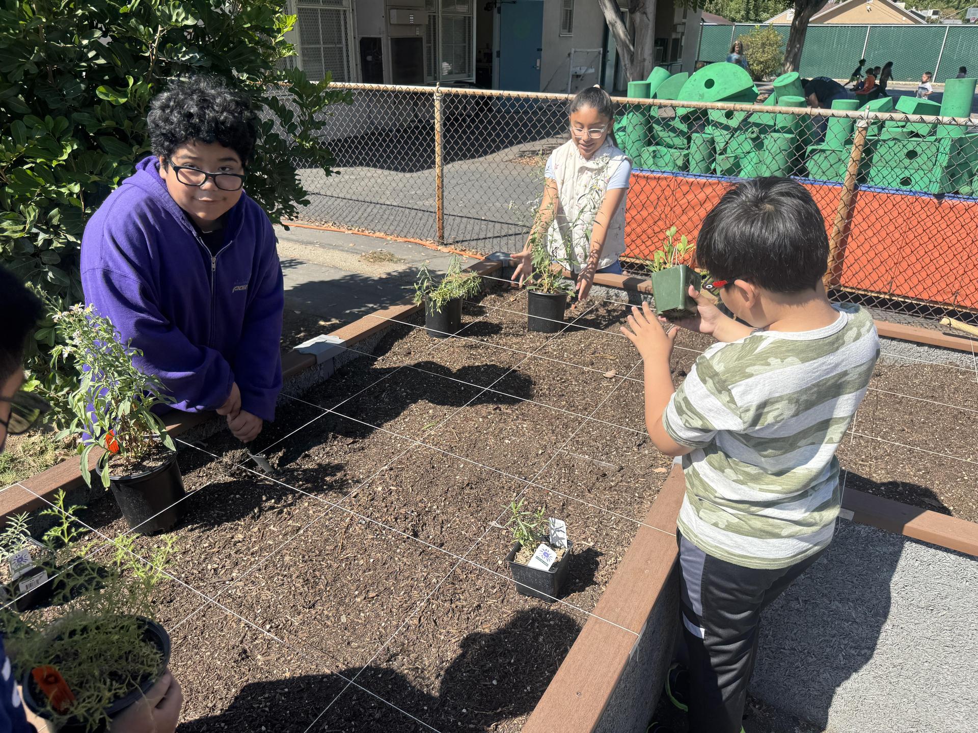Lorne's Monarch Butterfly Sanctuary Garden