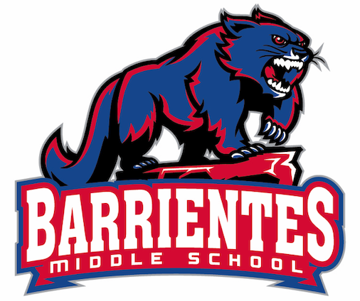 BMS Logo