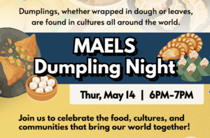 Dumpling Night Poster