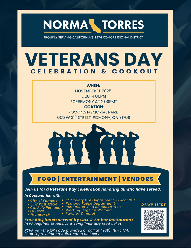 Veterans Flyer infographics