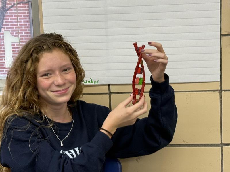 What did we do at school? Featured Photo