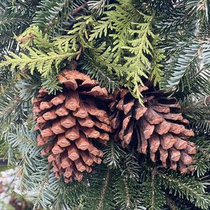 pinecones on evergreen wreath