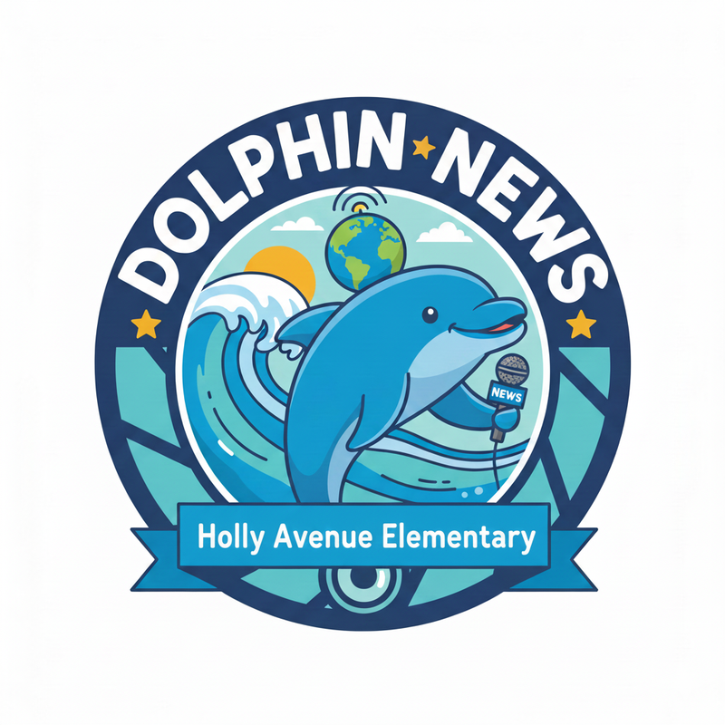 Dolphin News Logo