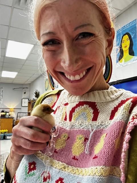 Baby Chicks 2026! Featured Photo