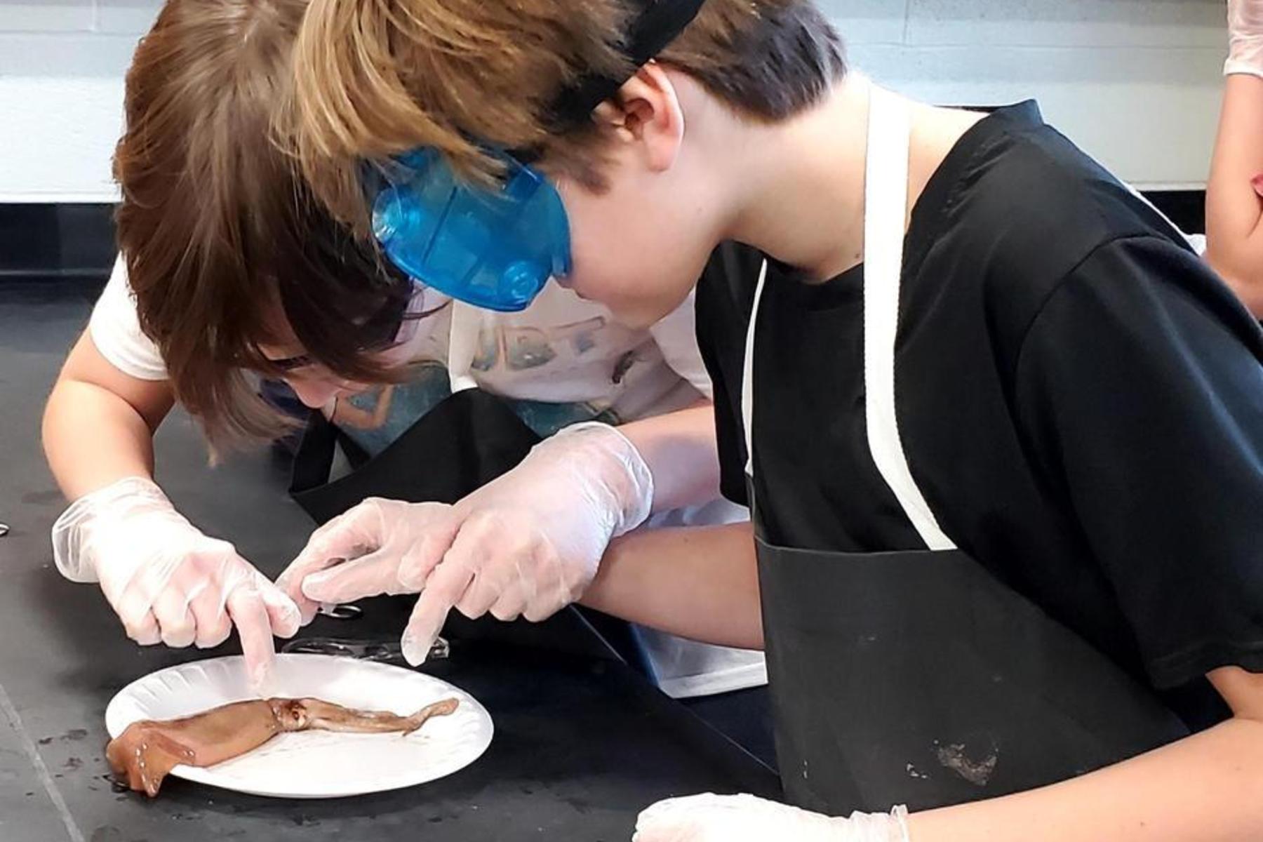 Two students examining a specimen on a paper plate.