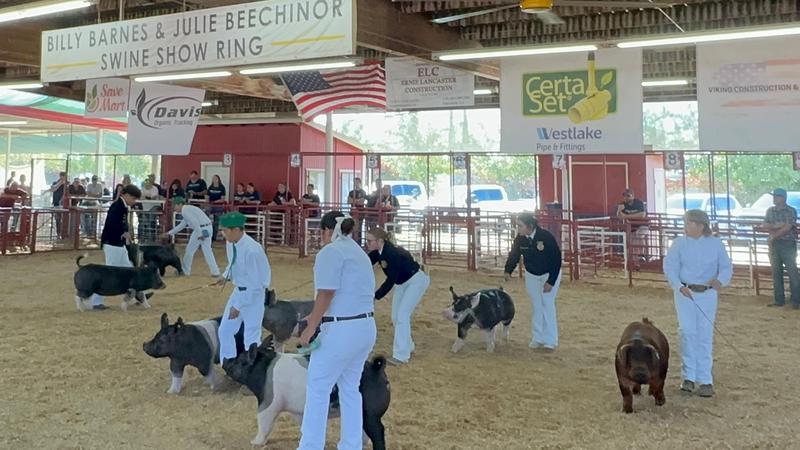 KHSD WWU FFA