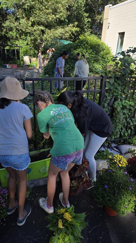 Spruce Up Evergreen Day