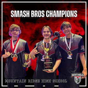 MRHS Esports team sweeps the championship round
