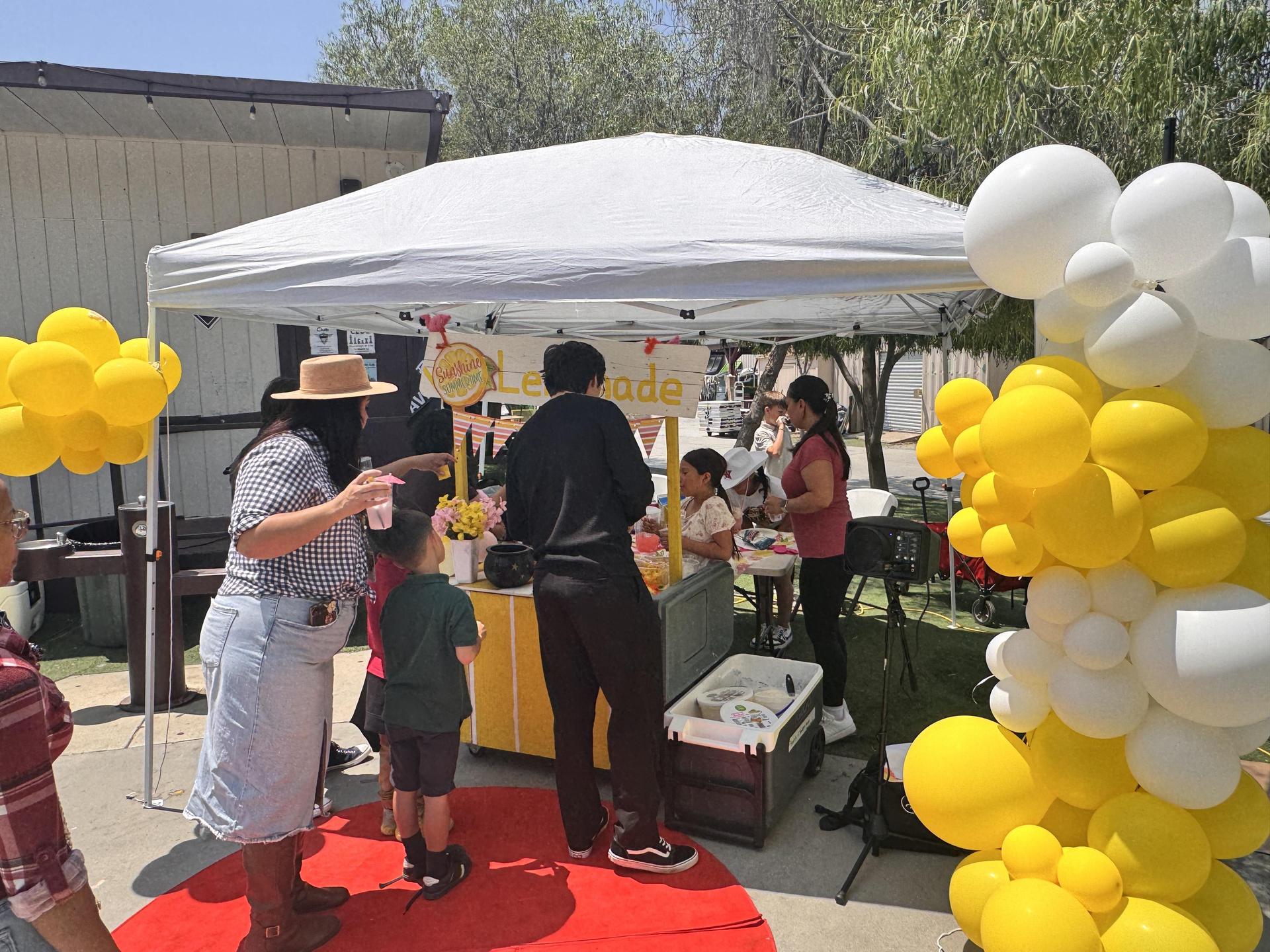 3rd grade Lemonade Wars: June 3 2025