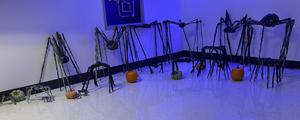 IMG_5876.jpeg