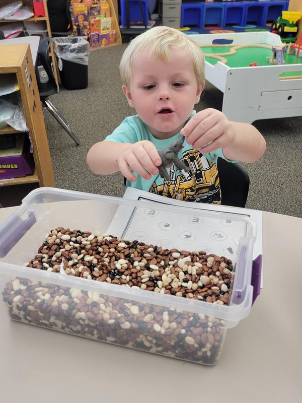 Mrs. Mullen’s class has been working hard on being ready to learn at school.