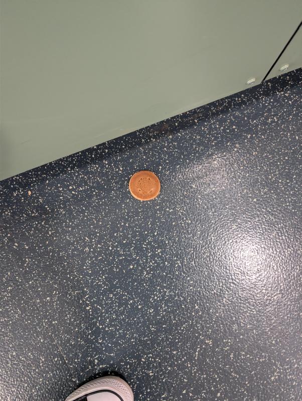 pancake left on floor