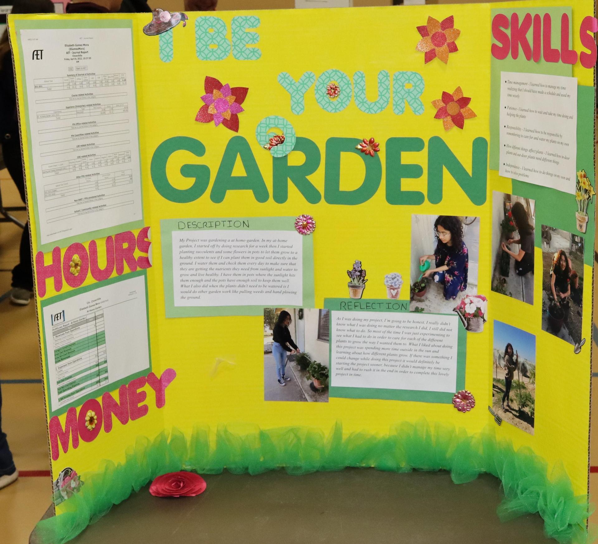 A Supervised Agricultural Experience trifold display