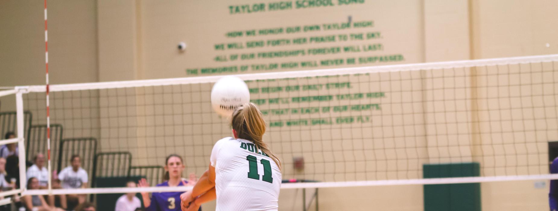 volleyball 2018