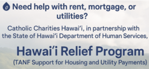 Hawaii Relief Program