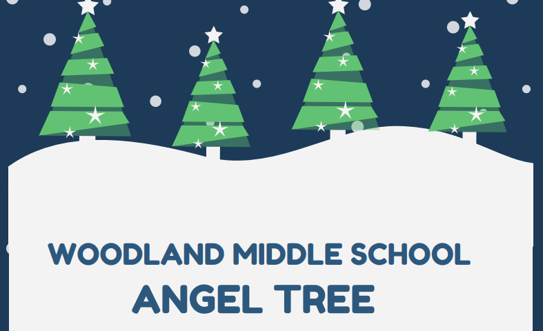 WMS Angel Tree Featured Photo