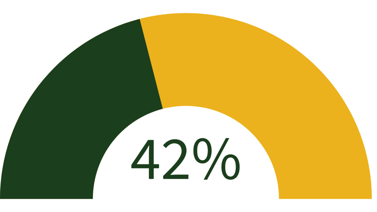 graphic showing 42% of goal reached