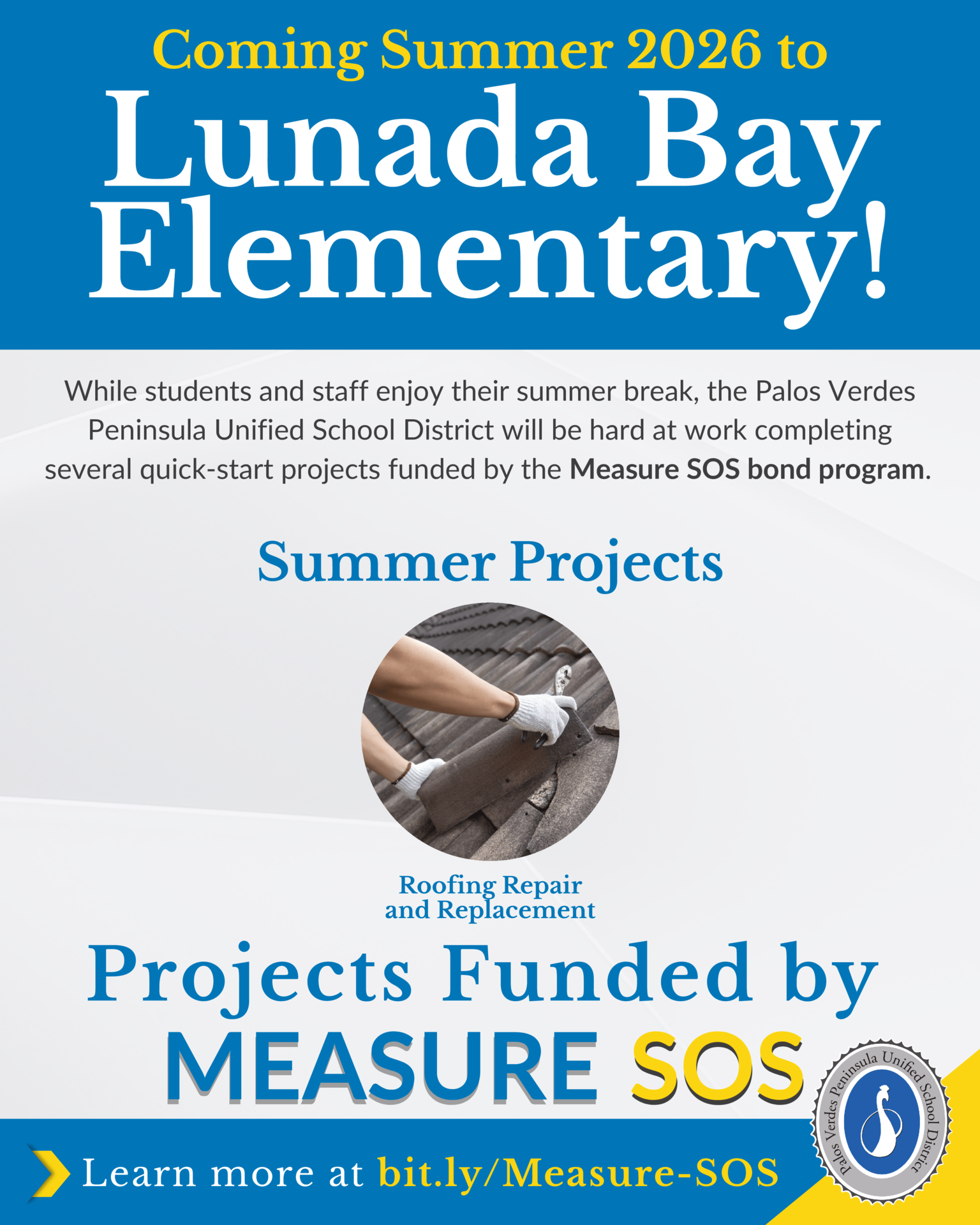 summer project infographic