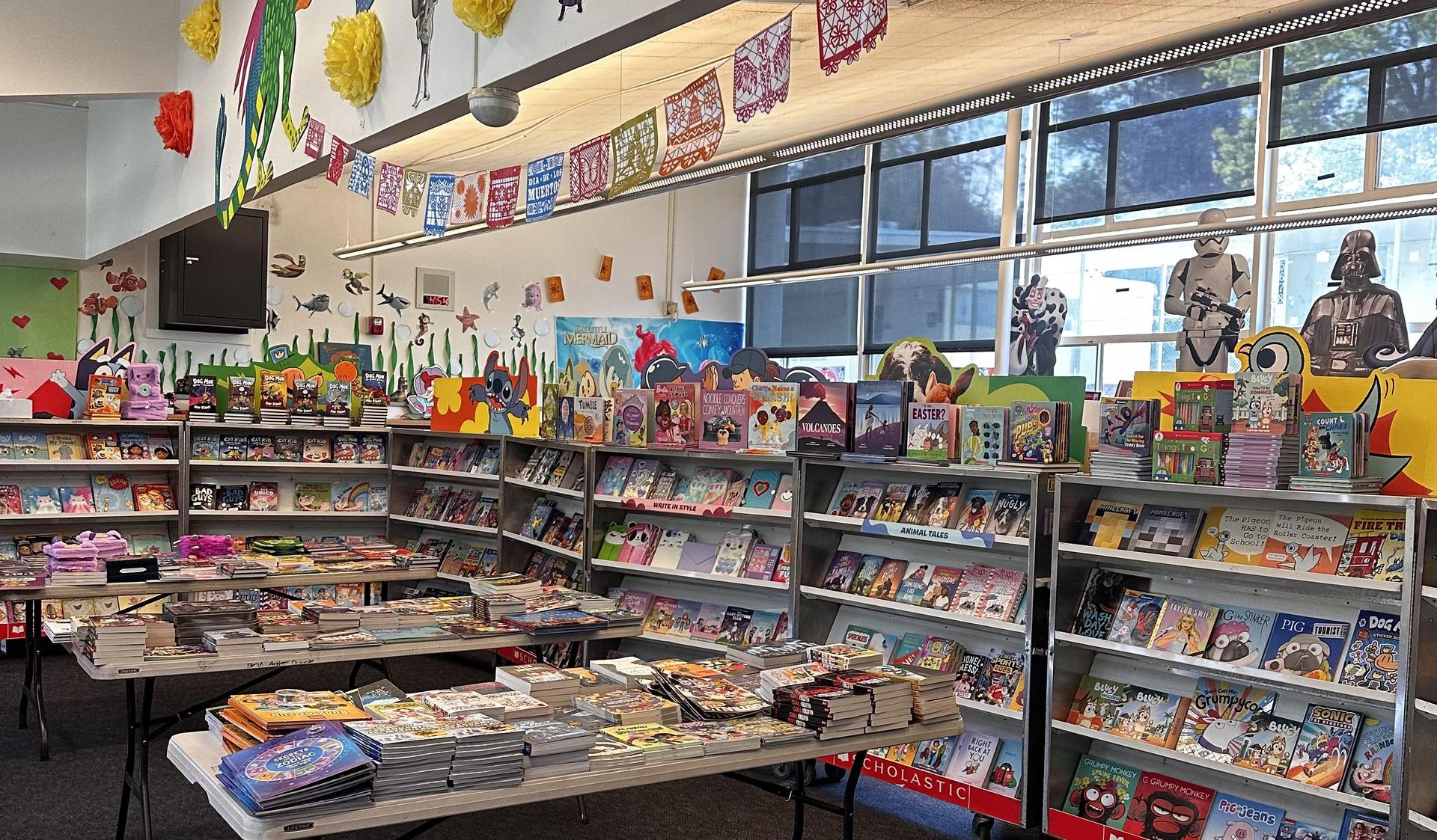 Book shelves with books