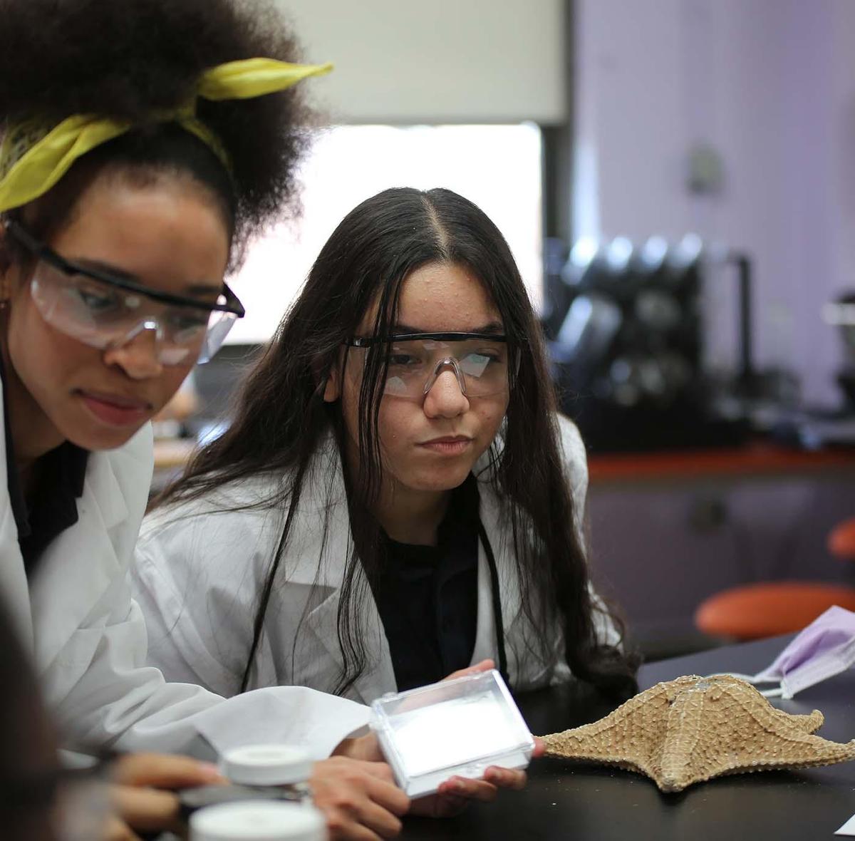 HSA Belmont student drawing at a desk in a classroom setting