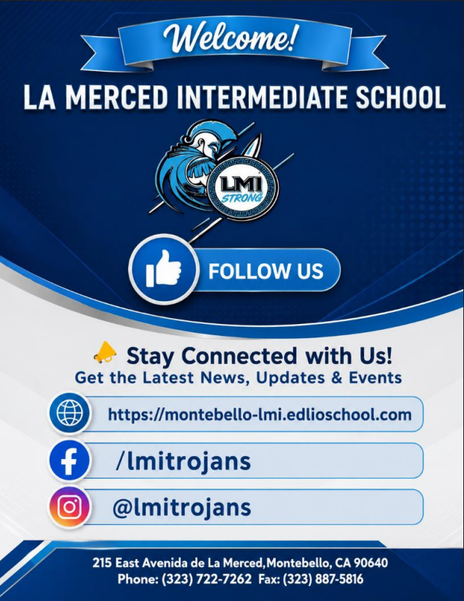 lmi