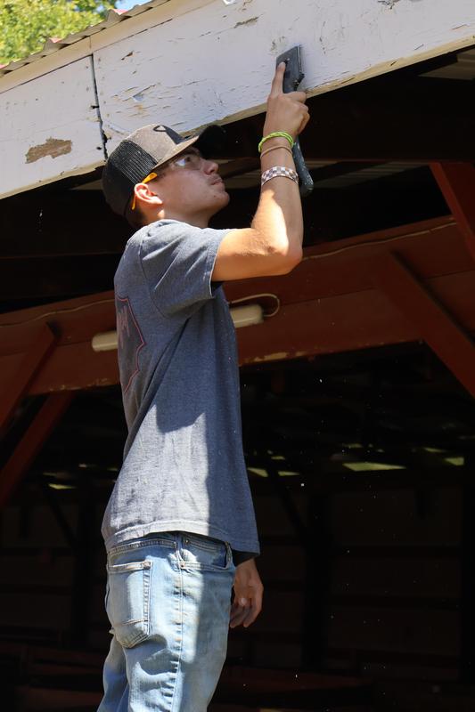 FFA student paints white trim on a livestock barn