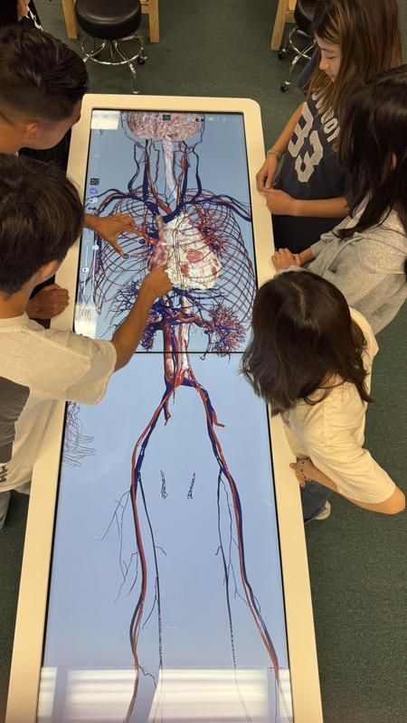 A group of student surround the Anatomage Table. A digital skeletal figure is displayed on the table