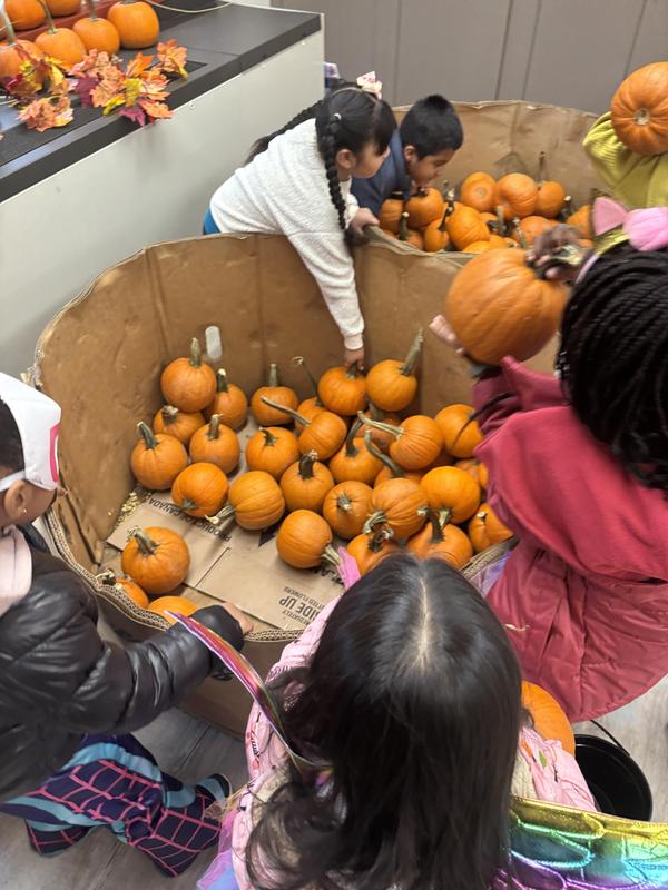 Pumpkins for everyone