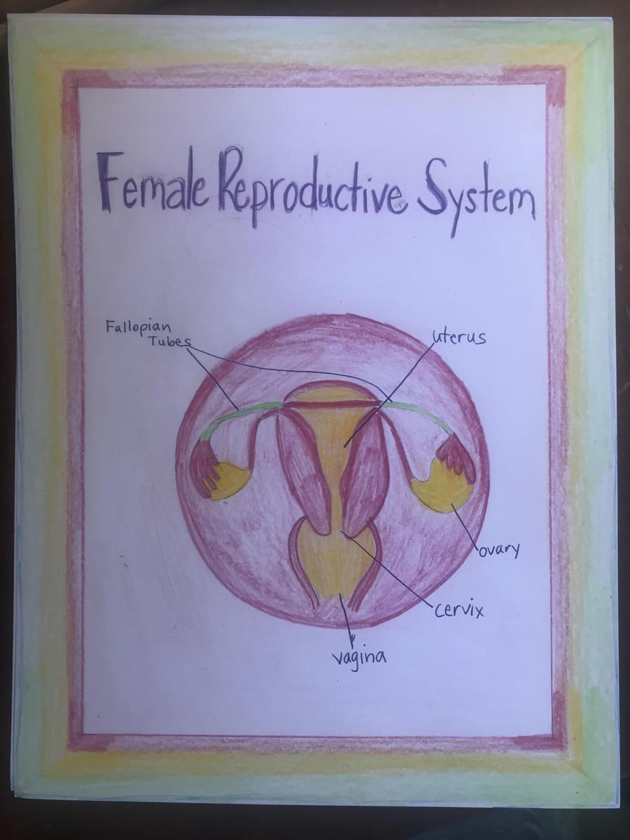 April 2 Stephens.jpeg