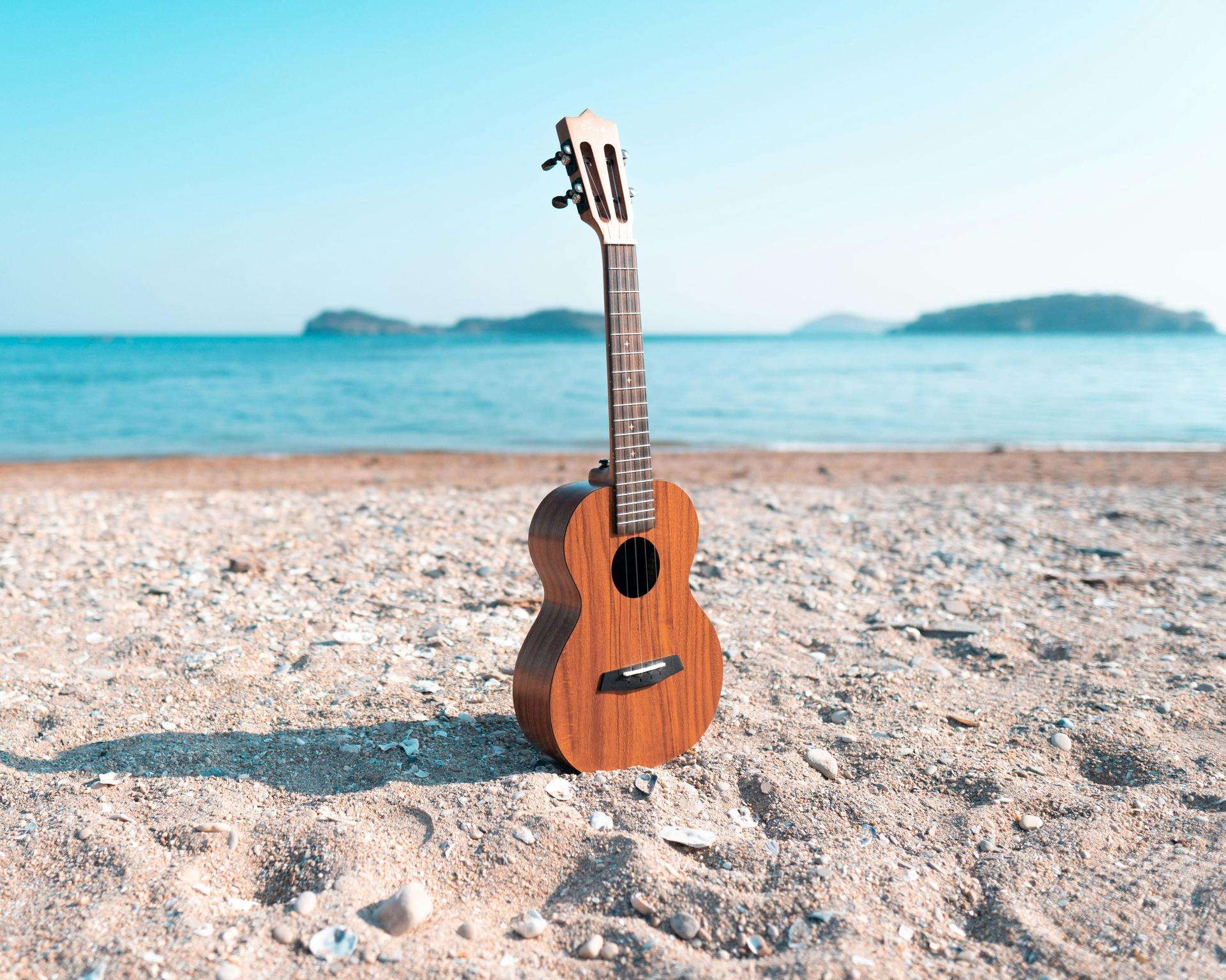 Ukulele on Beach