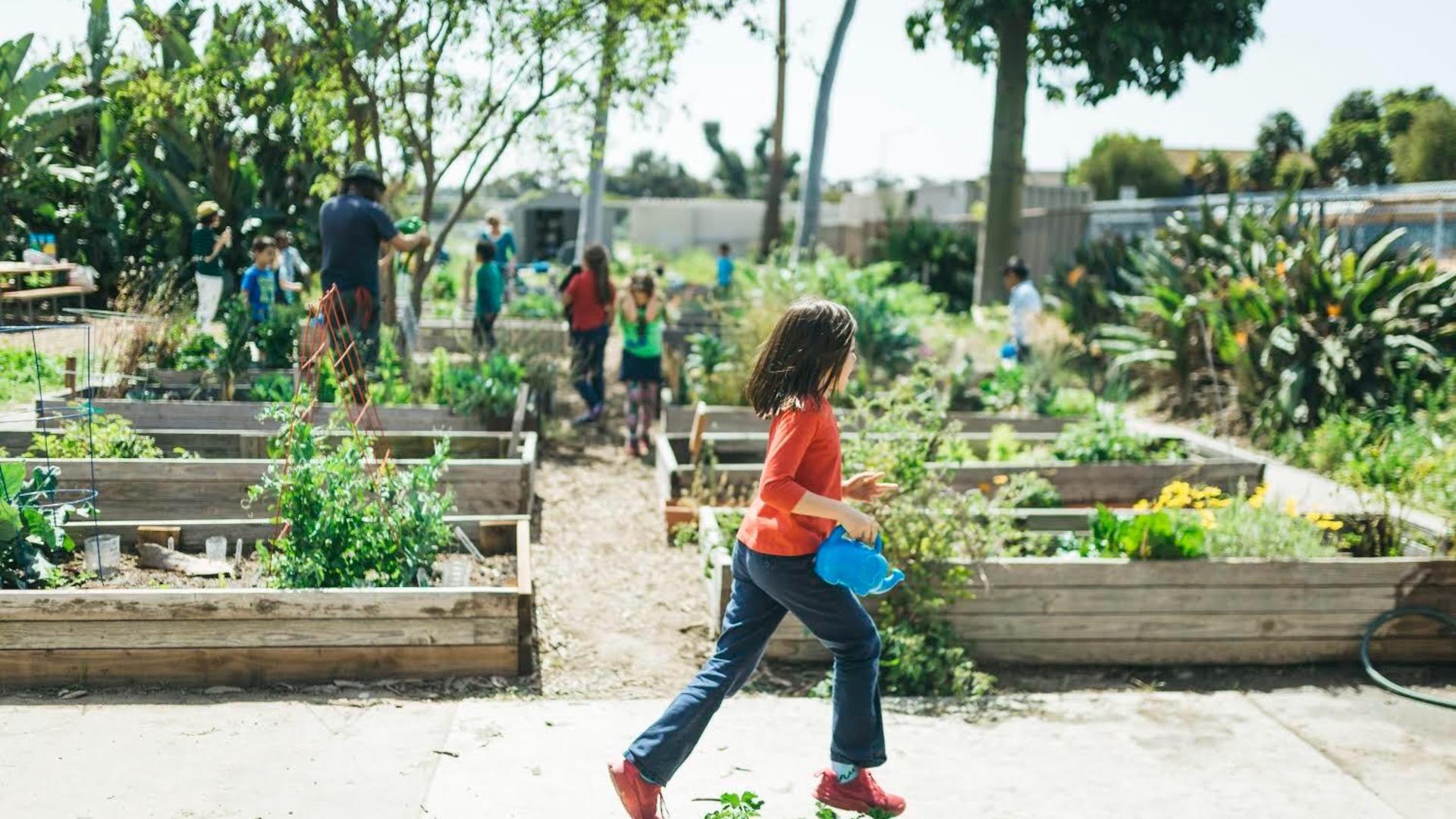 garden classes