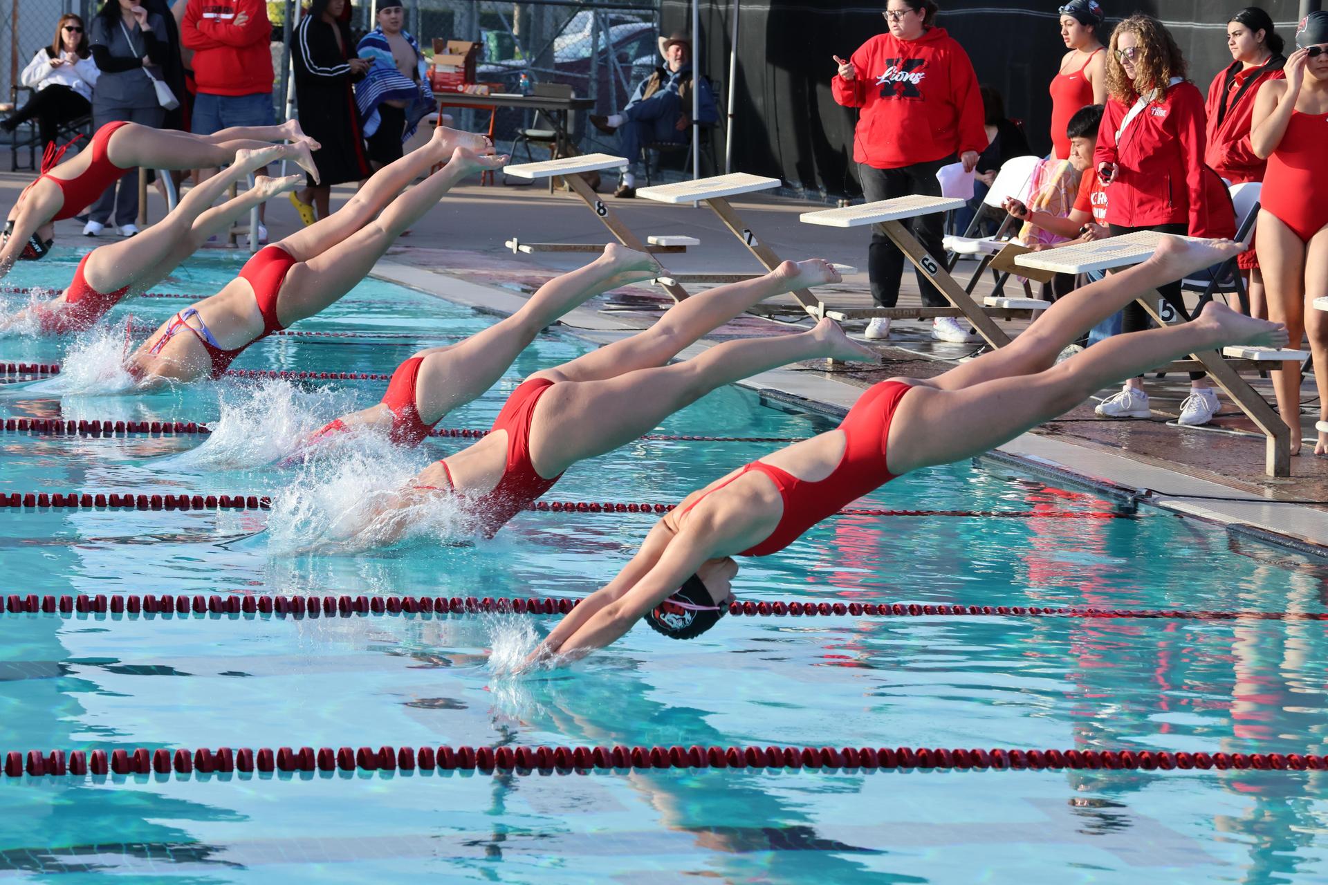 swimmers diving in the pool