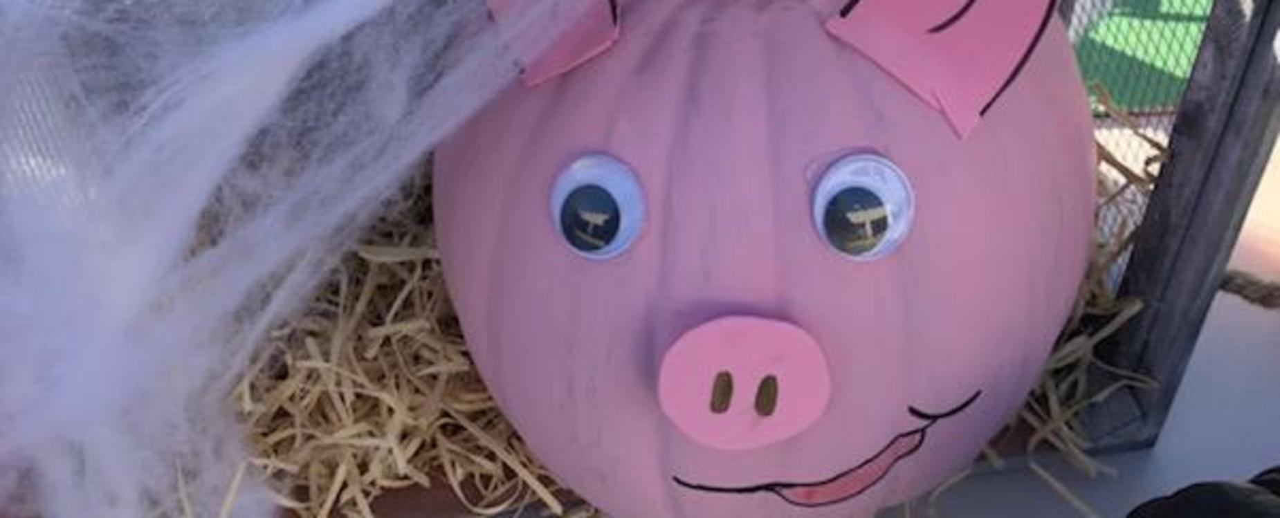 Charlotte's web pumpkin book report