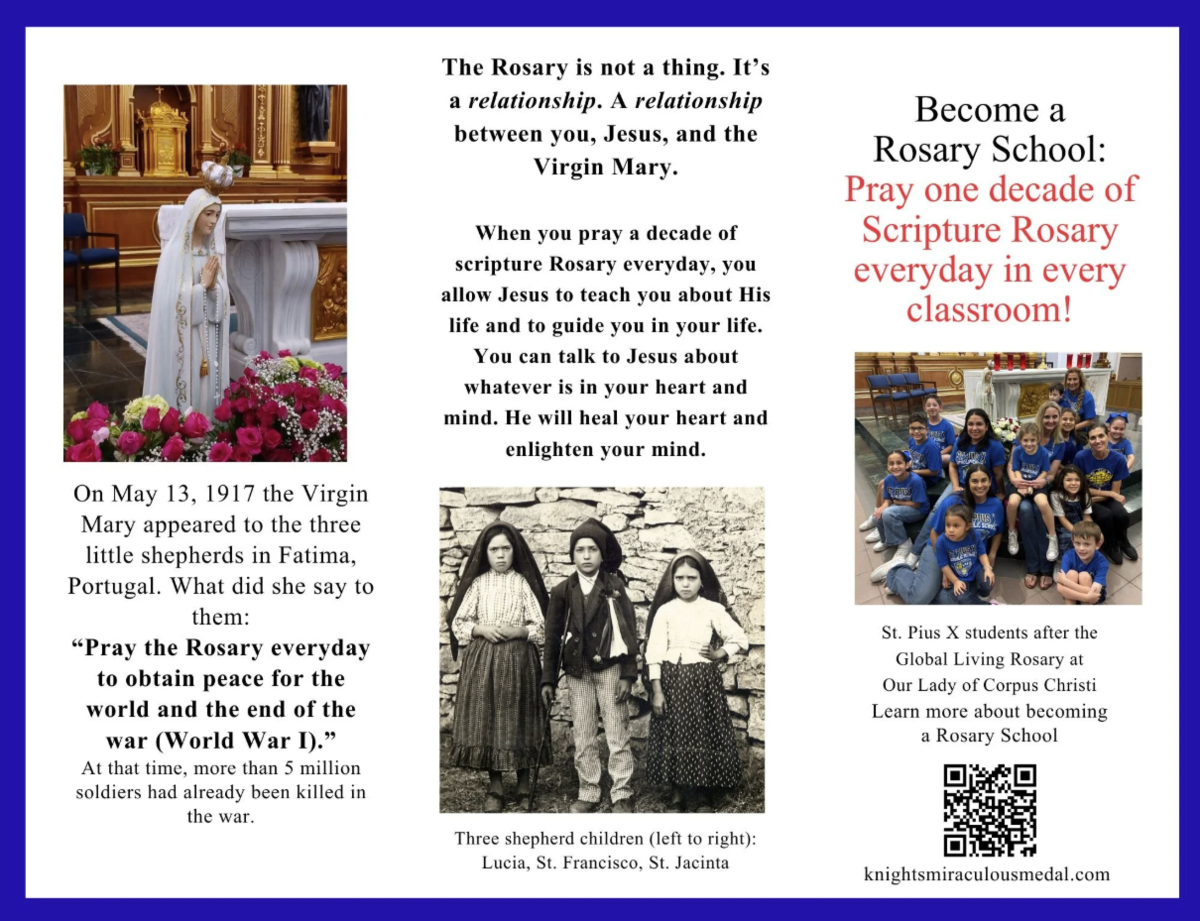 Rosary School Info