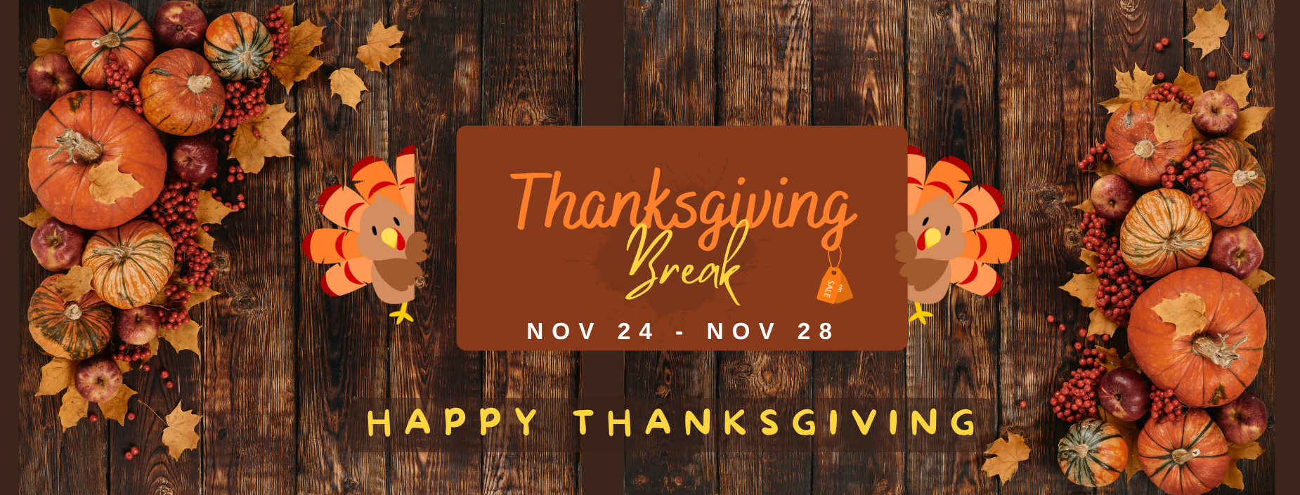 Thanksgiving break Nov 24-28