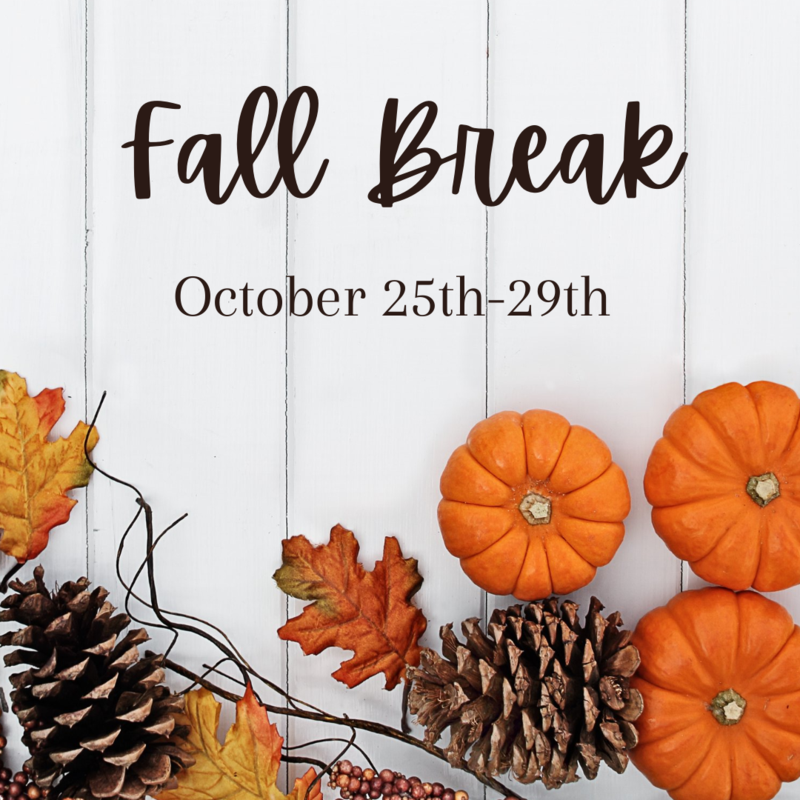 FALL BREAK Featured Photo