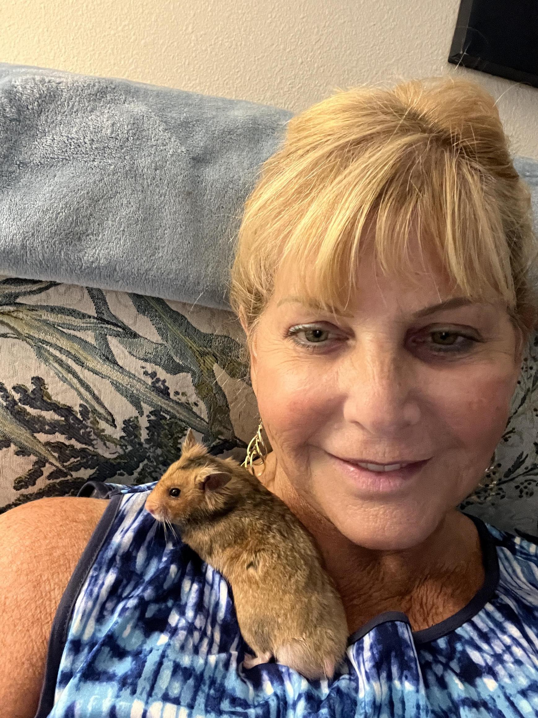 The Hammy Tv Scandal: Who'S To Blame? - znii37h