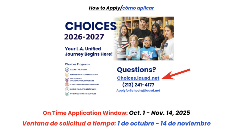 eCHOICES Application window
