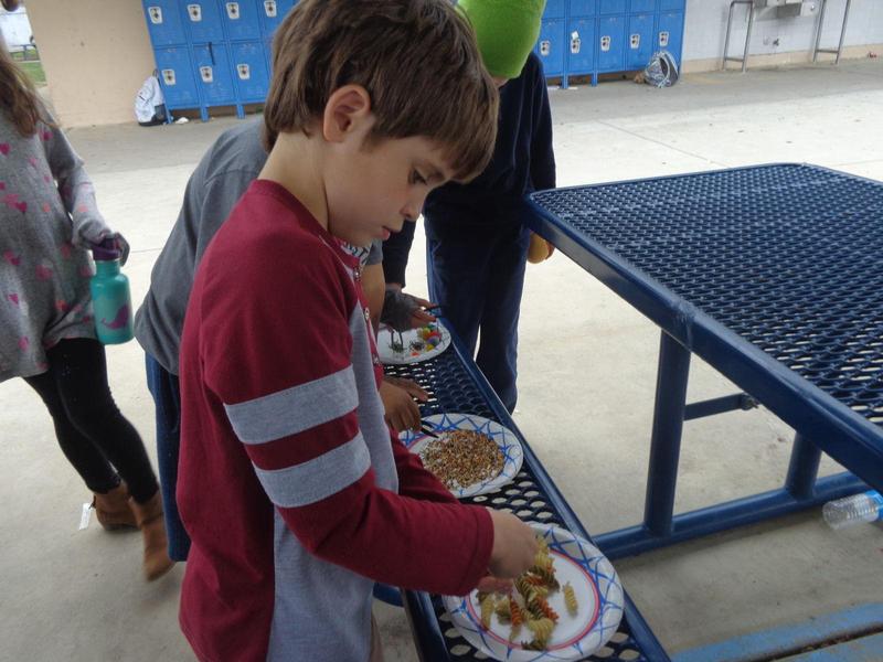 1st grader hands on science