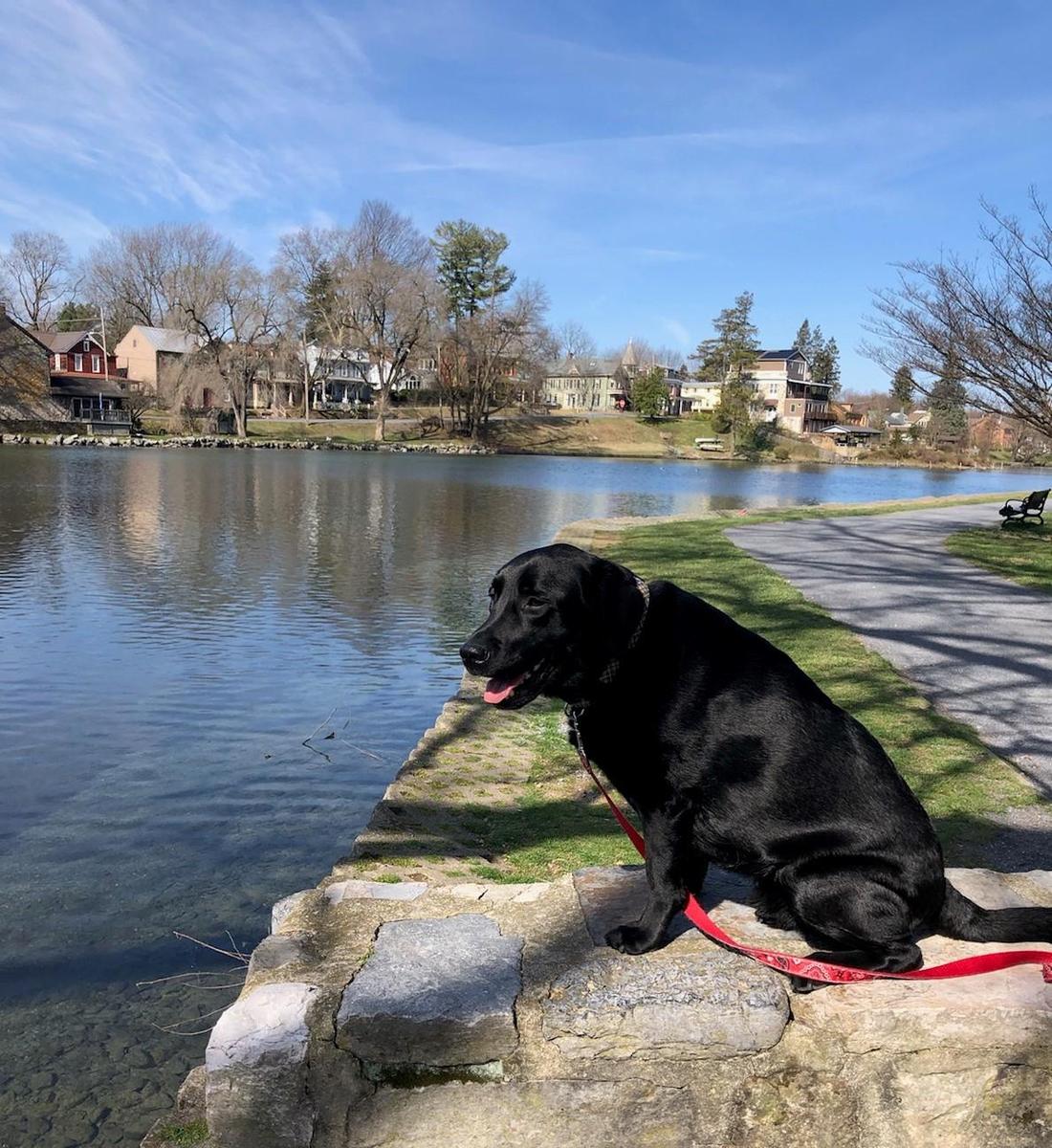 children's lake