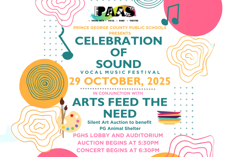 Celebration of Sound Flier