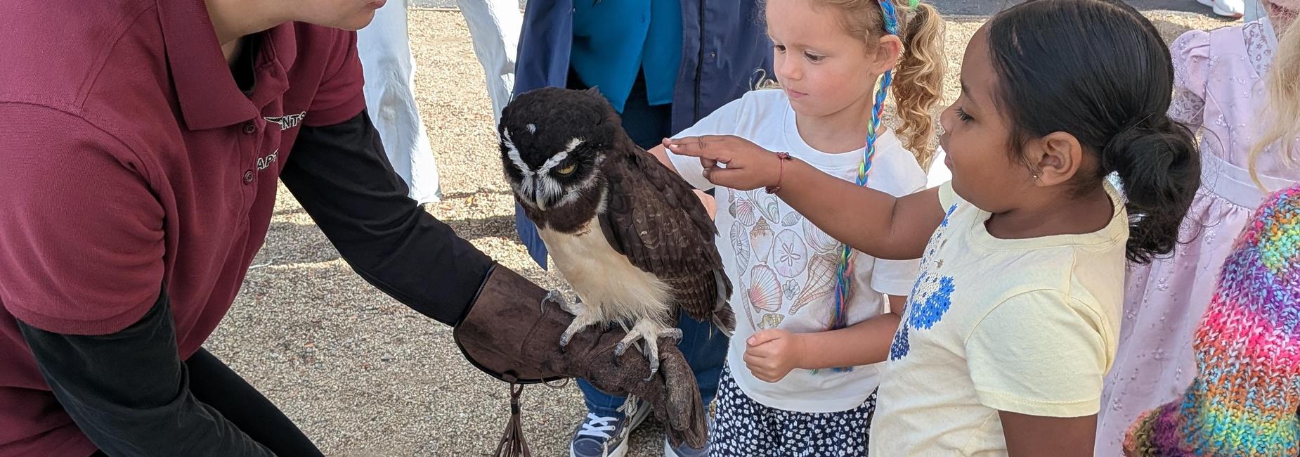 Children pet an owl.