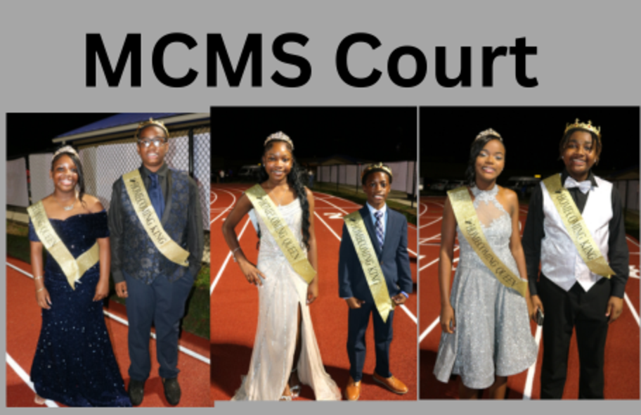 Middle School Court